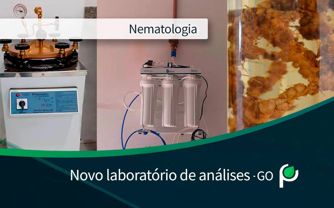 Laboratorio nematoligia phytus