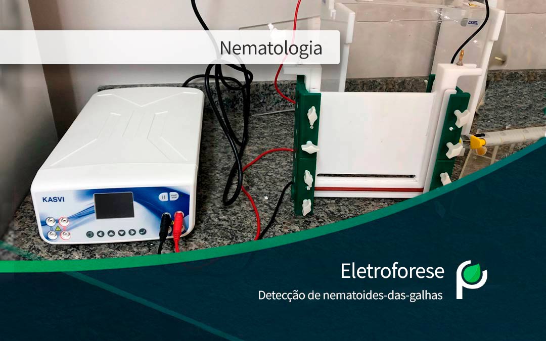 Eletroforese: uma identificação de nematoides mais precisa