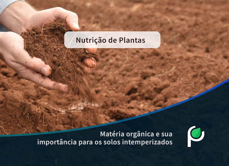 Matéria orgânica e sua importância para os solos intemperizados