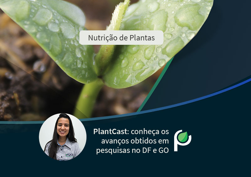 Dr.ª Larissa A. Tormen participa de podcast exclusivo na área de fisiologia e nutrição de plantas.