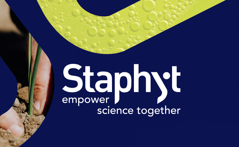 Uma nova identidade de marca para Staphyt!